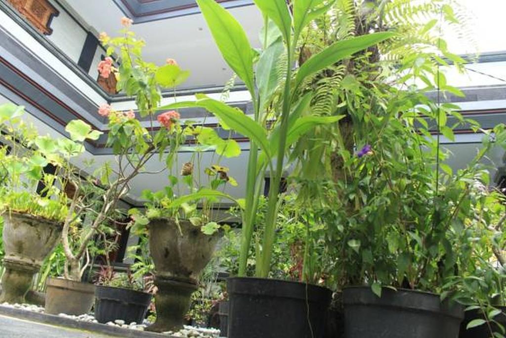 Lucky Family Villa Ubud  Bagian luar foto
